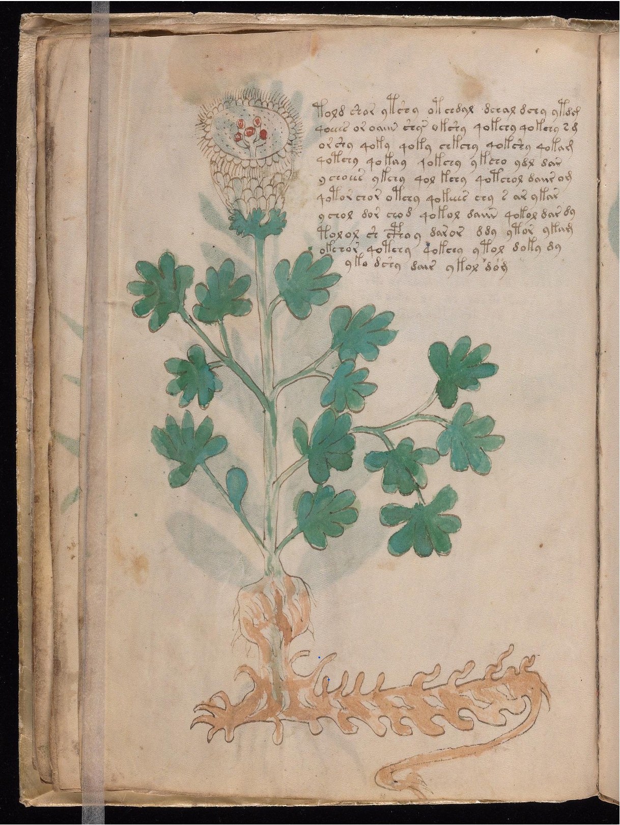 Original manuscript of Folio 18v